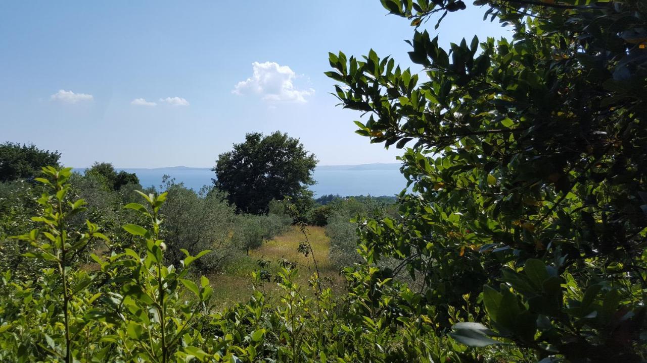 Casale Citerno Appartement Bolsena Buitenkant foto